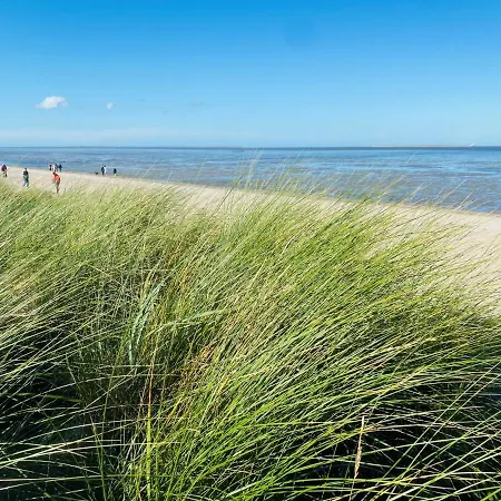 47 3 M Seestern Apartament