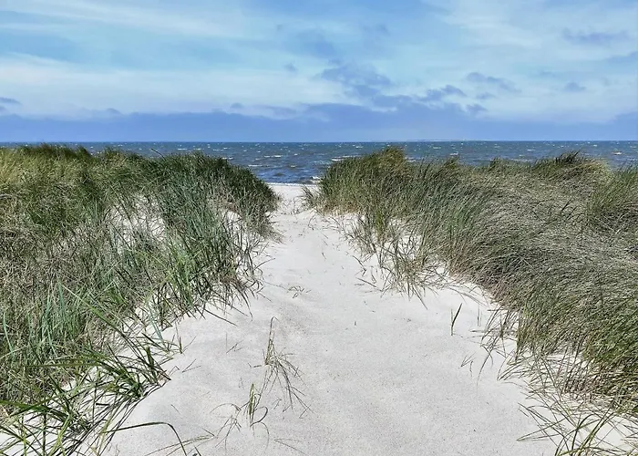 47 3 M Seestern * 쉴리그