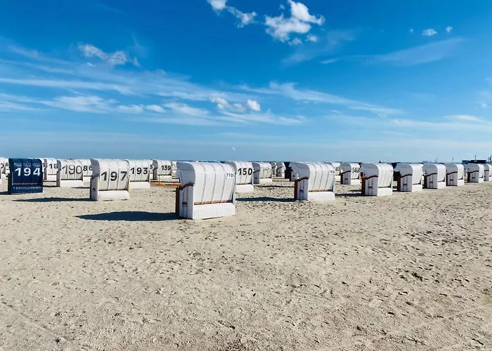 47 3 M Seestern 쉴리그